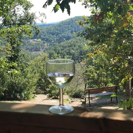 Safaritent Glamping Orlando In Chianti Cavriglia Eksteriør bilde